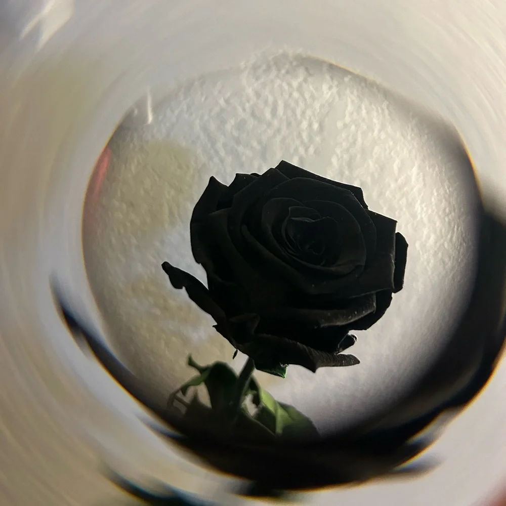 FX Halo Filter for lens